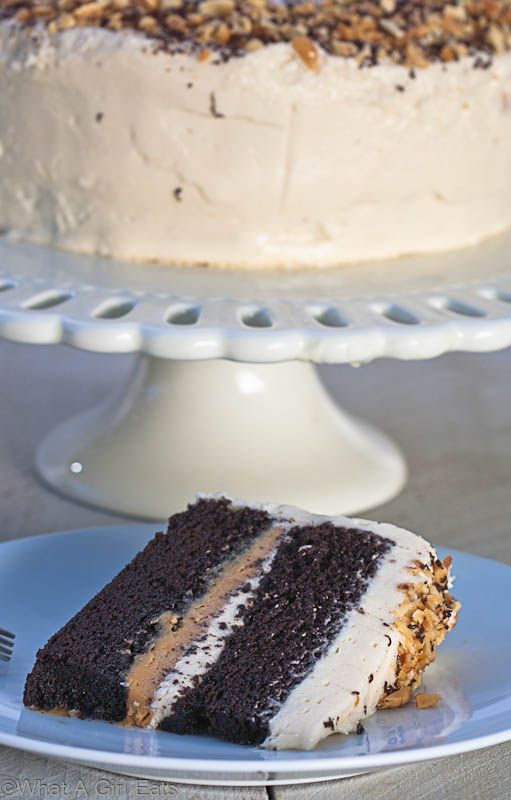 Milk Chocolate Peanut Cake