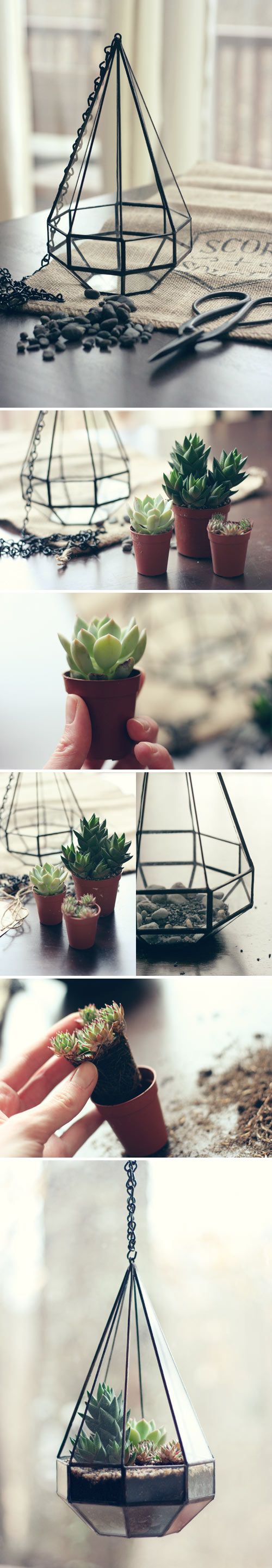 Adorable DIY Terrariums