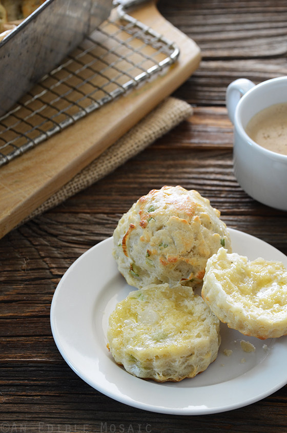 Savory Scones