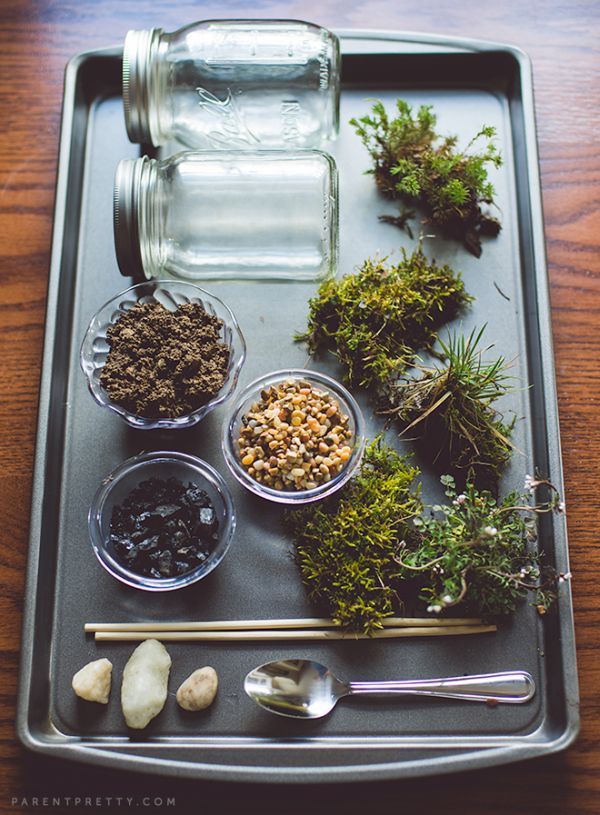 Your Own Beautiful Terrarium