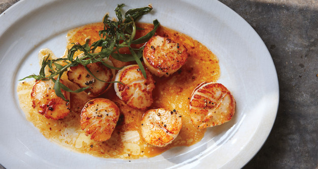 Scallops