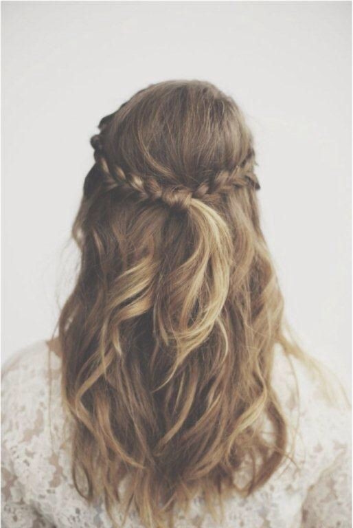 Braided Hair for Half Up Half Down Hairstyles