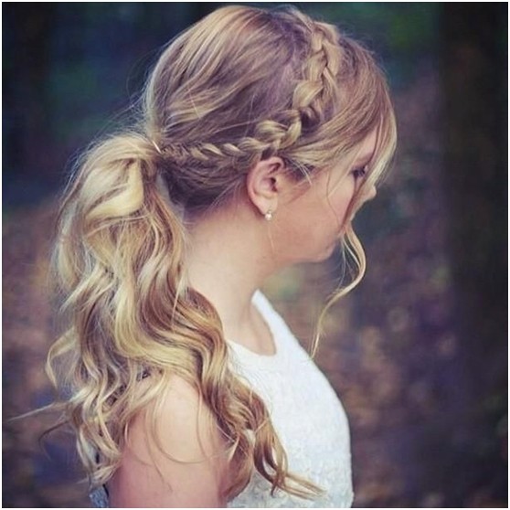 Braided Ponytail for Curly Hair