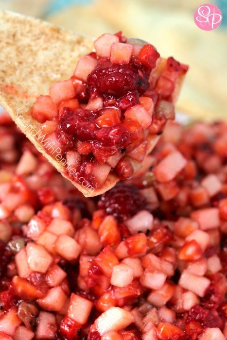 Fruit Salsa with Cinnamon Crisps