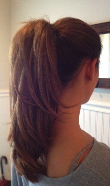 Layered Ponytail for Long Hair