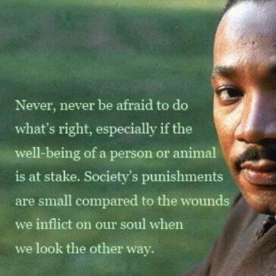 Martin Luther King Quotes 12