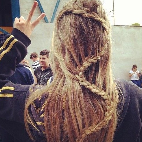 Snake Braid Hairstyle Idea