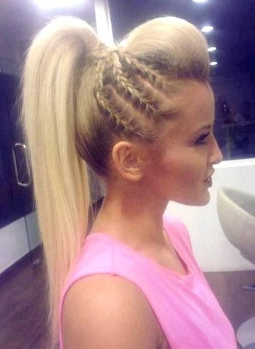 Braided High Ponytail