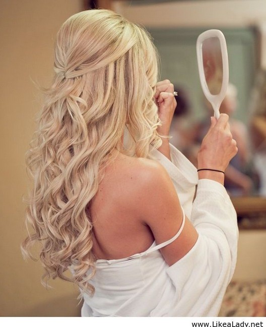 Elegant Half Up Half Down Hairstyle for Wedding