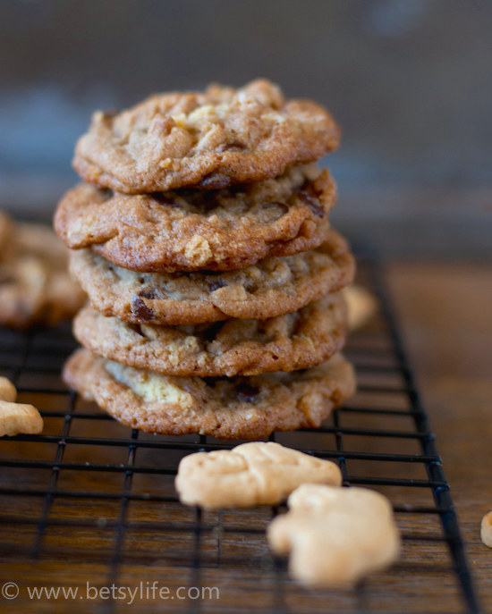 School Snack Cookies