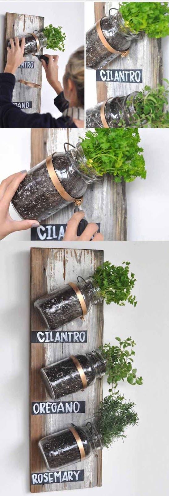 Mason Jar Garden