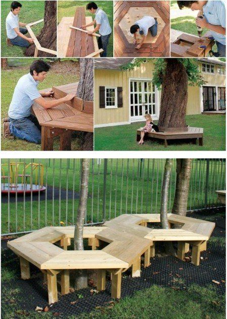 Tree Bench