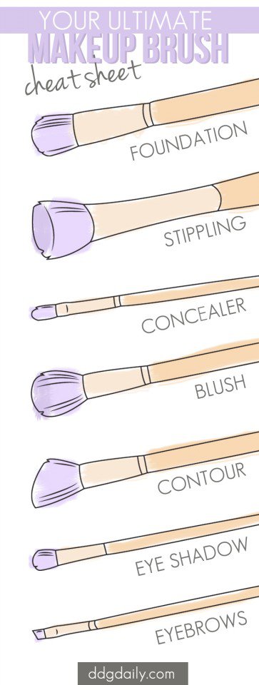 Your Ultimate Makeup Brush