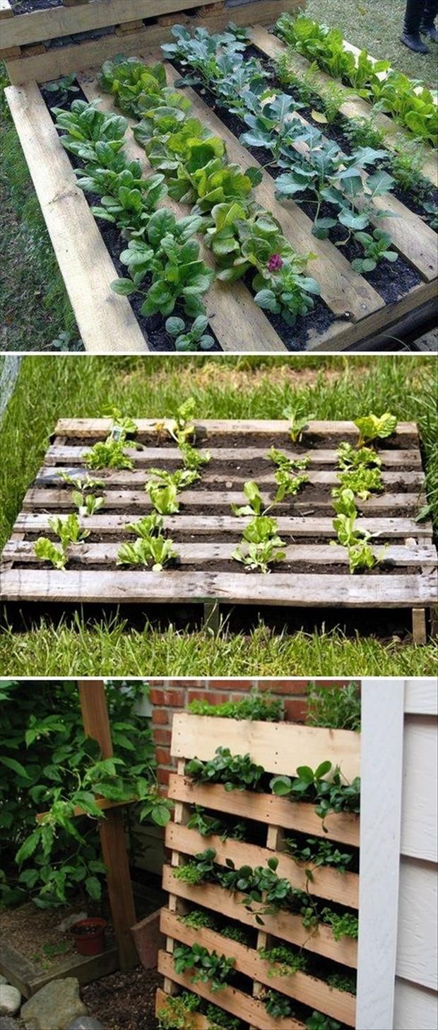 10 DIY Projects for Pallet Planters