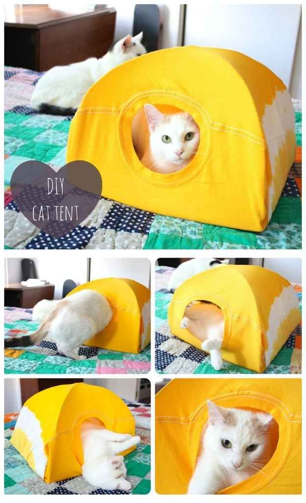 Cat Tent