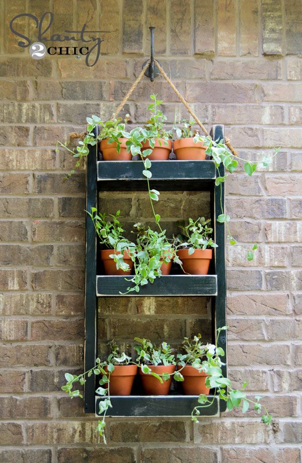 20 Hanging Planter Ideas for Home