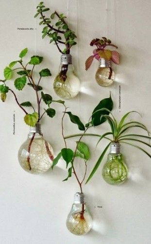 20 Hanging Planter Ideas for Home