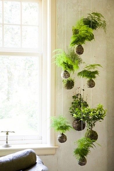 20 Hanging Planter Ideas for Home