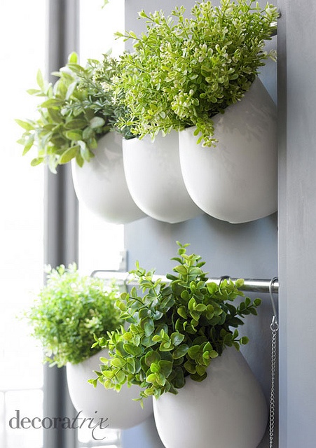 20 Hanging Planter Ideas for Home