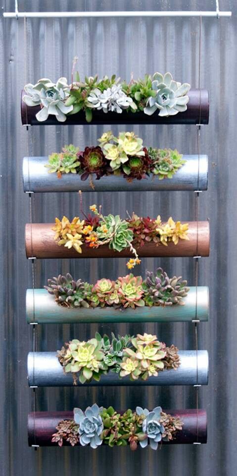 20 Hanging Planter Ideas for Home