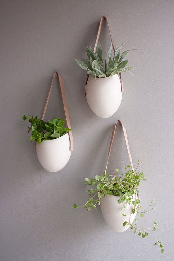 20 Hanging Planter Ideas for Home