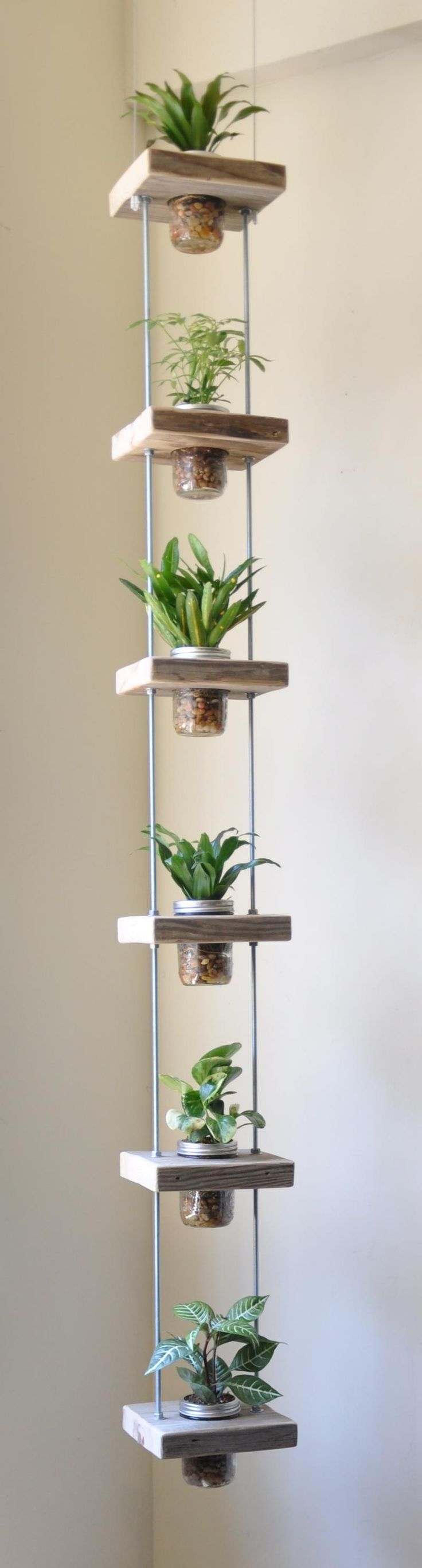 20 Hanging Planter Ideas for Home