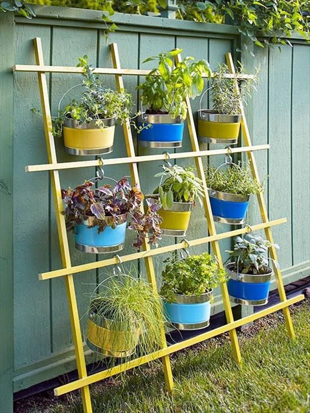 20 Hanging Planter Ideas for Home