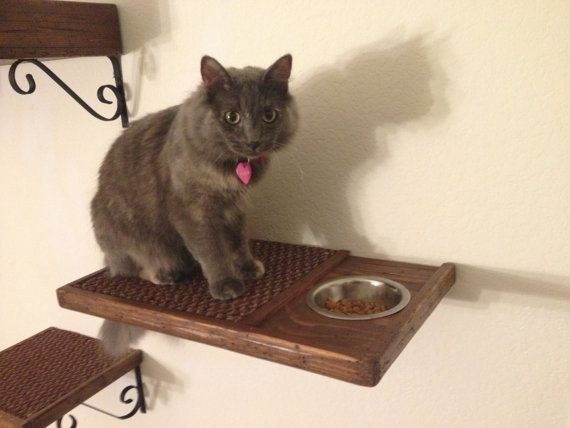 Cat Food Shelf