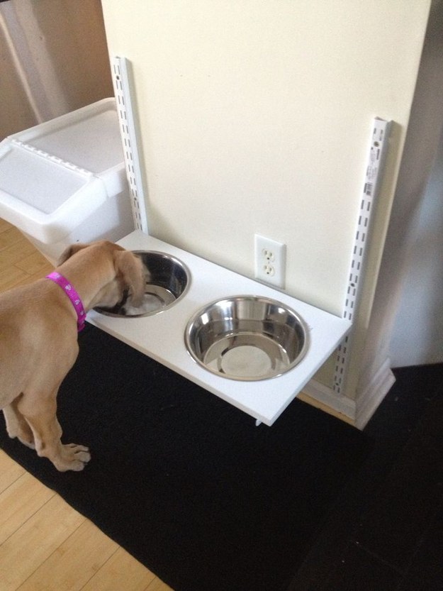 Feeding Station for a Growing Puppy