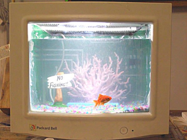 Fish Tank