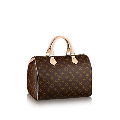 Louis Vuitton Speedy Bag