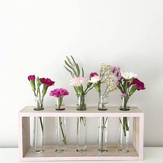 Test Tube Vases