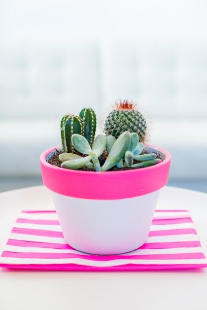 20 Ideas to Decorate Desks with Succulent