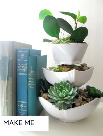 20 Ideas to Decorate Desks with Succulent