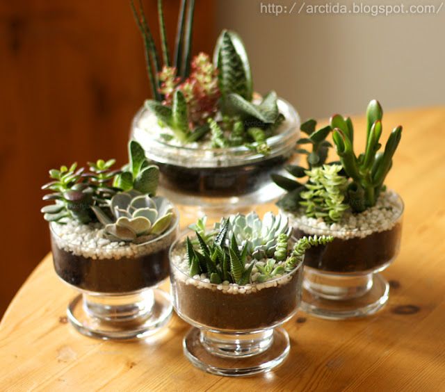 20 Ideas to Decorate Desks with Succulent