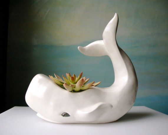 20 Ideas to Decorate Desks with Succulent 20 Ideas to Decorate Desks with Succulent