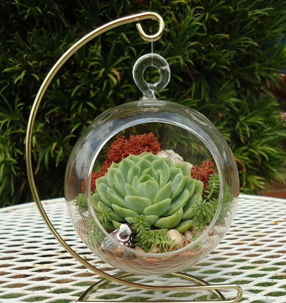 20 Ideas to Decorate Desks with Succulent