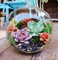 20 Ideas to Decorate Desks with Succulent