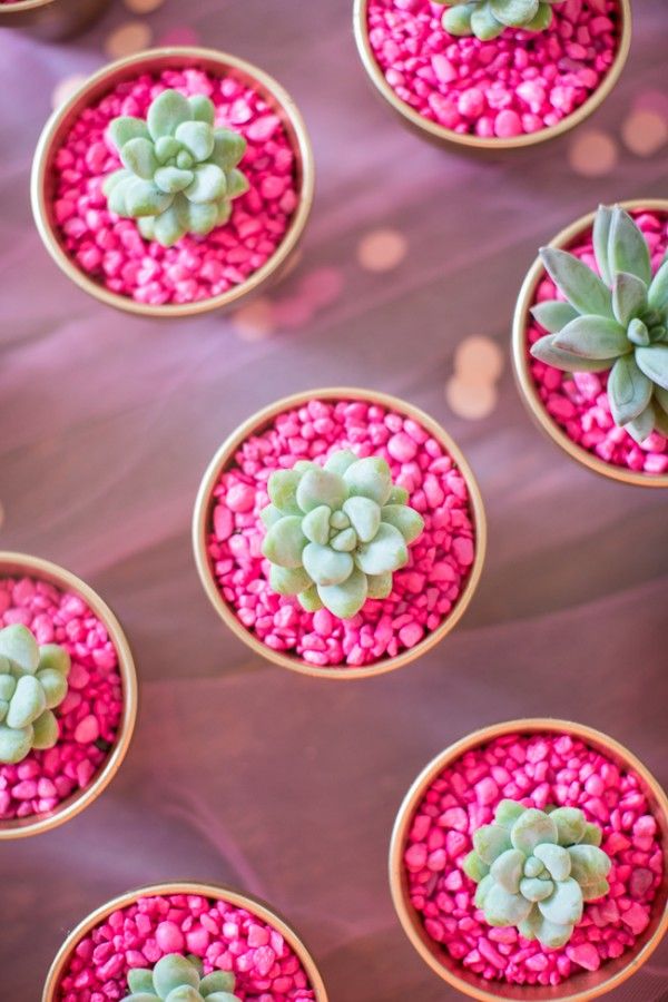 20 Ideas to Decorate Desks with Succulent