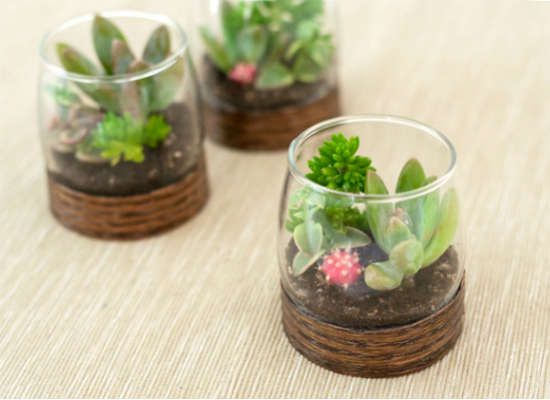 20 Ideas to Decorate Desks with Succulent