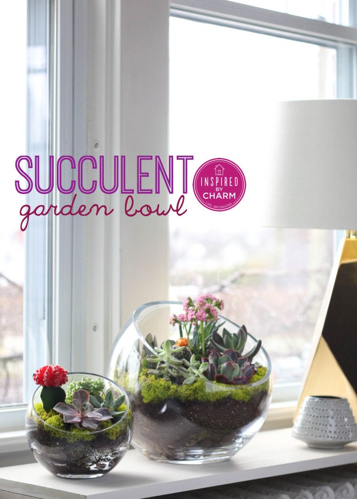 20 Ideas to Decorate Desks with Succulent