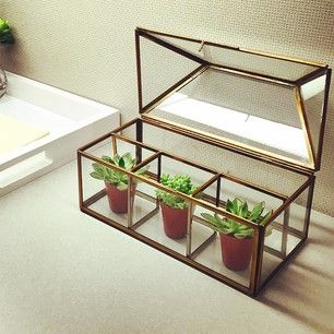 20 Ideas to Decorate Desks with Succulent