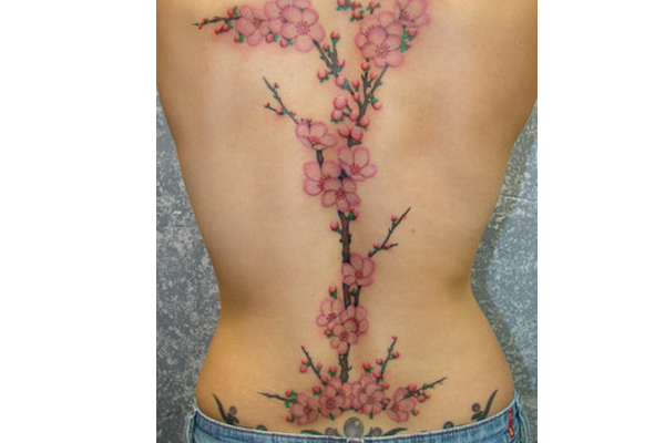 Cherry Blossom Back Tattoo