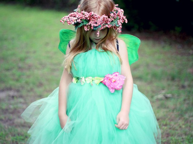 Fairy Princess Costume