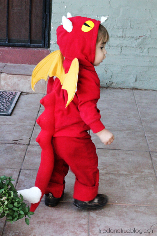 Red Dragon Costume