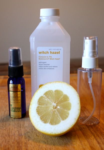 Natural Homemade Toner