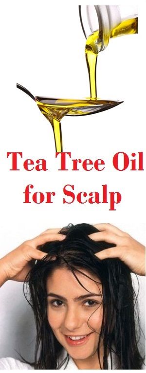 Tea Tree Oil for Scalp