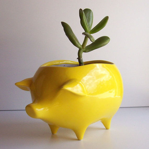 A Yellow Pig Planter