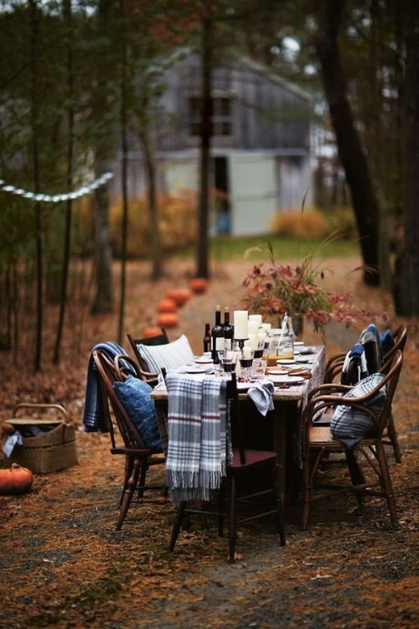 Beautiful Fall Backyard