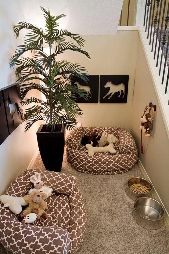 Dog Friendly Home Idea